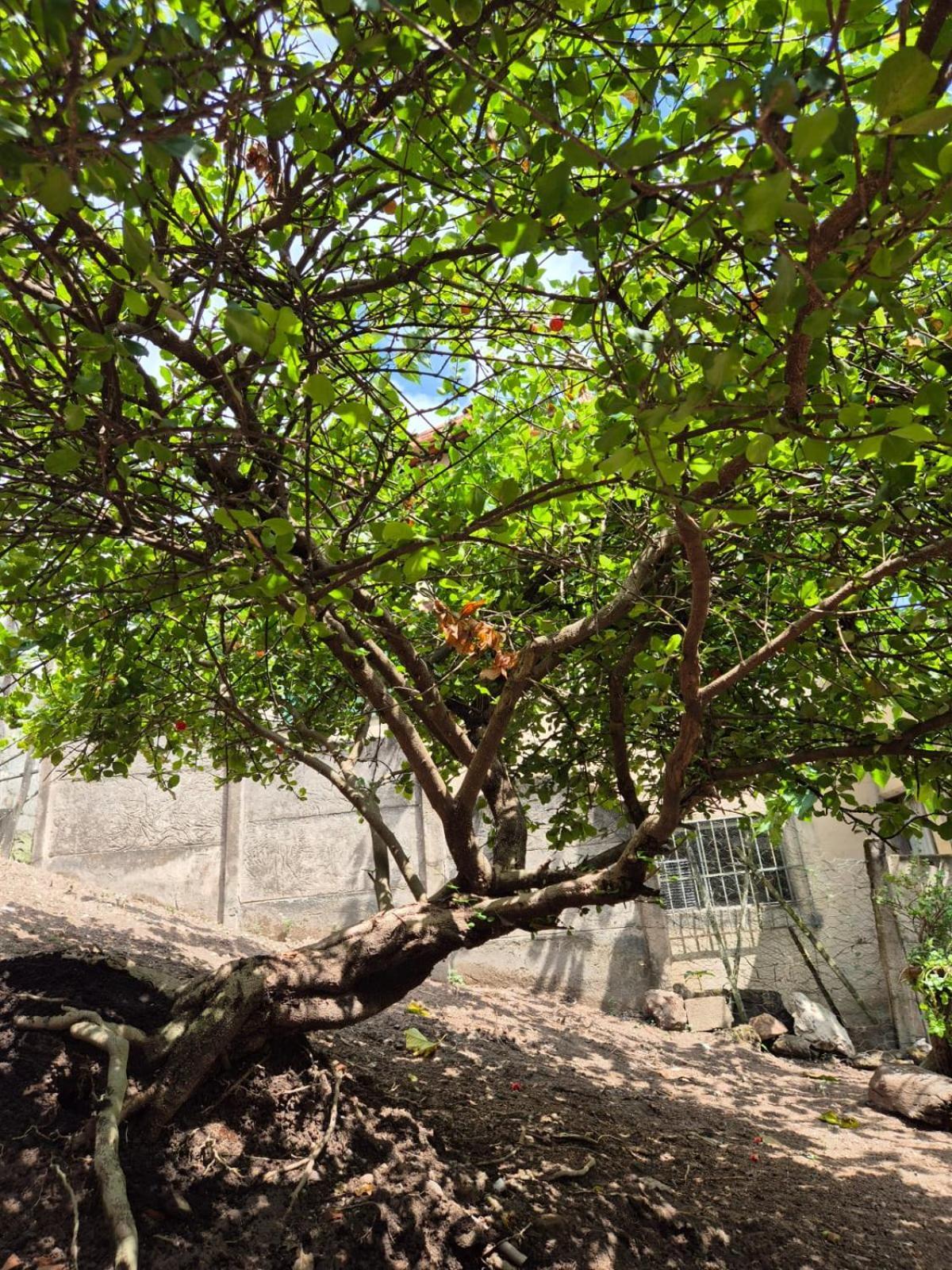 Pousada Verde Villas Brumadinho Eksteriør bilde