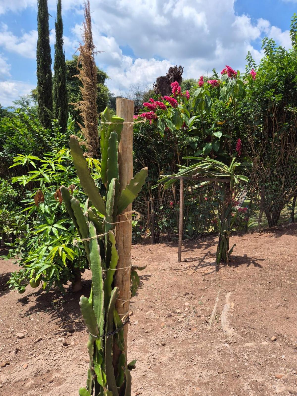 Pousada Verde Villas Brumadinho Eksteriør bilde